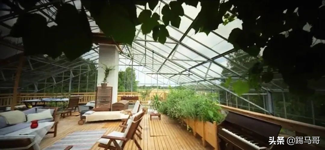 appletv出品的电影,appletv出品