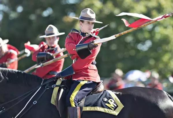 留学生挑战香港送外卖的一天,外卖员送快递到南极科考站搞笑