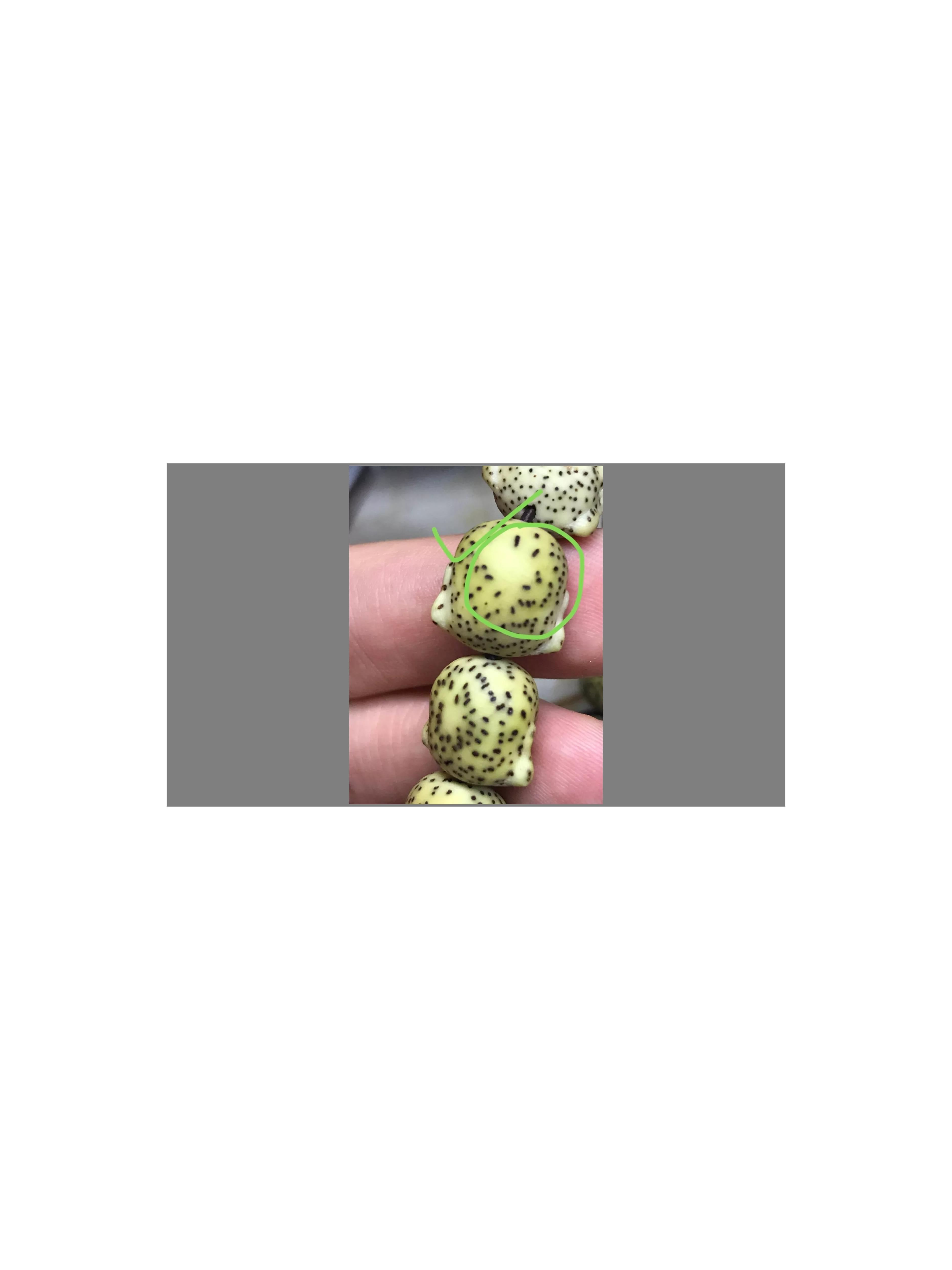 紫金鼠和星月菩提哪个更值得盘玩,星月菩提无相值得盘吗