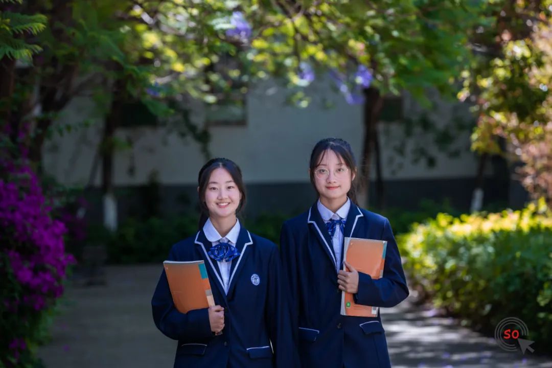 校园|遇见.初夏属于十中的紫色烂漫