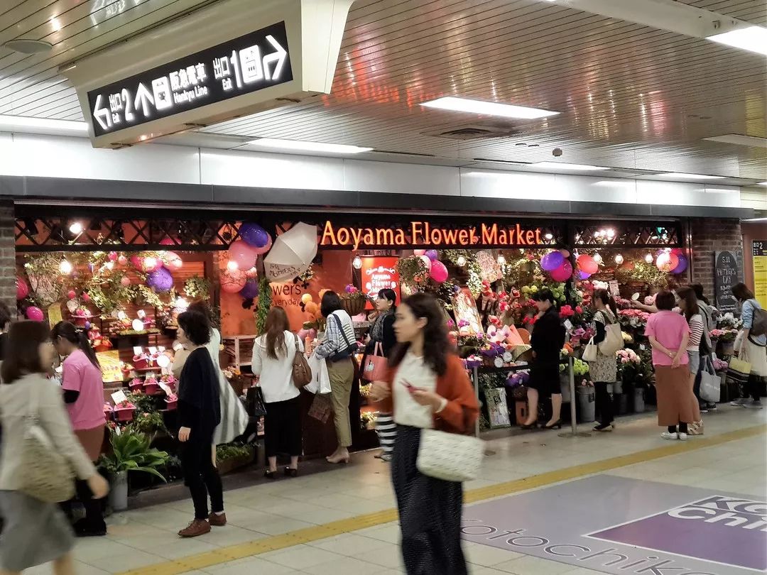 日本花店探店,日本花店攻略