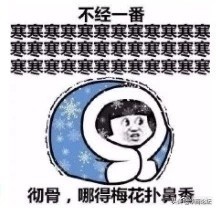 兵马俑一号坑第三次发掘现场 (兵马俑3号坑发掘了吗)