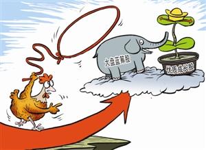 小白股票入门基础知识,小白如何选期货公司