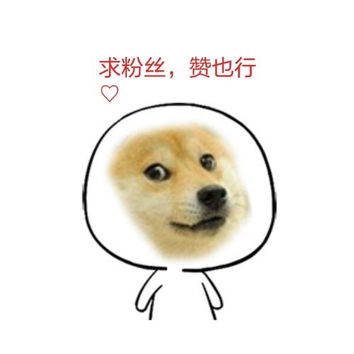 ps干货总结大全学生,关于ps干货