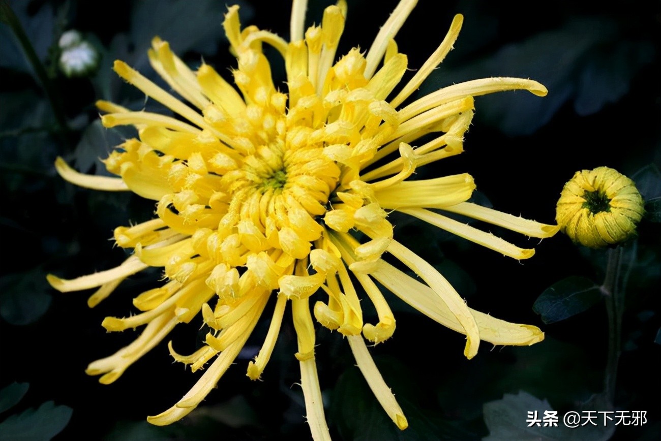 中国无神论思想的历史,中国无神论简史