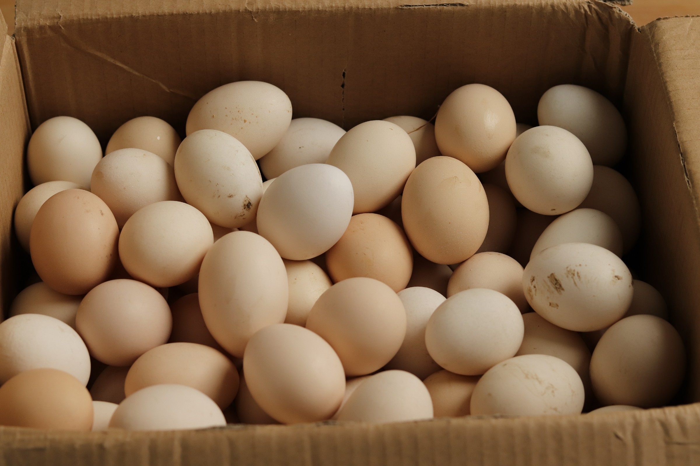 煮熟的鸡蛋放冰箱冷藏保存多久,煮熟带壳鸡蛋放冰箱可以保存几天