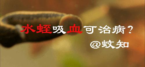 水蛭吸血可治病？结果几百年前的西方人因此导致梅毒的交叉感染