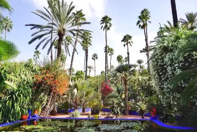 免签进一步扩大开放,免签后游客暴涨