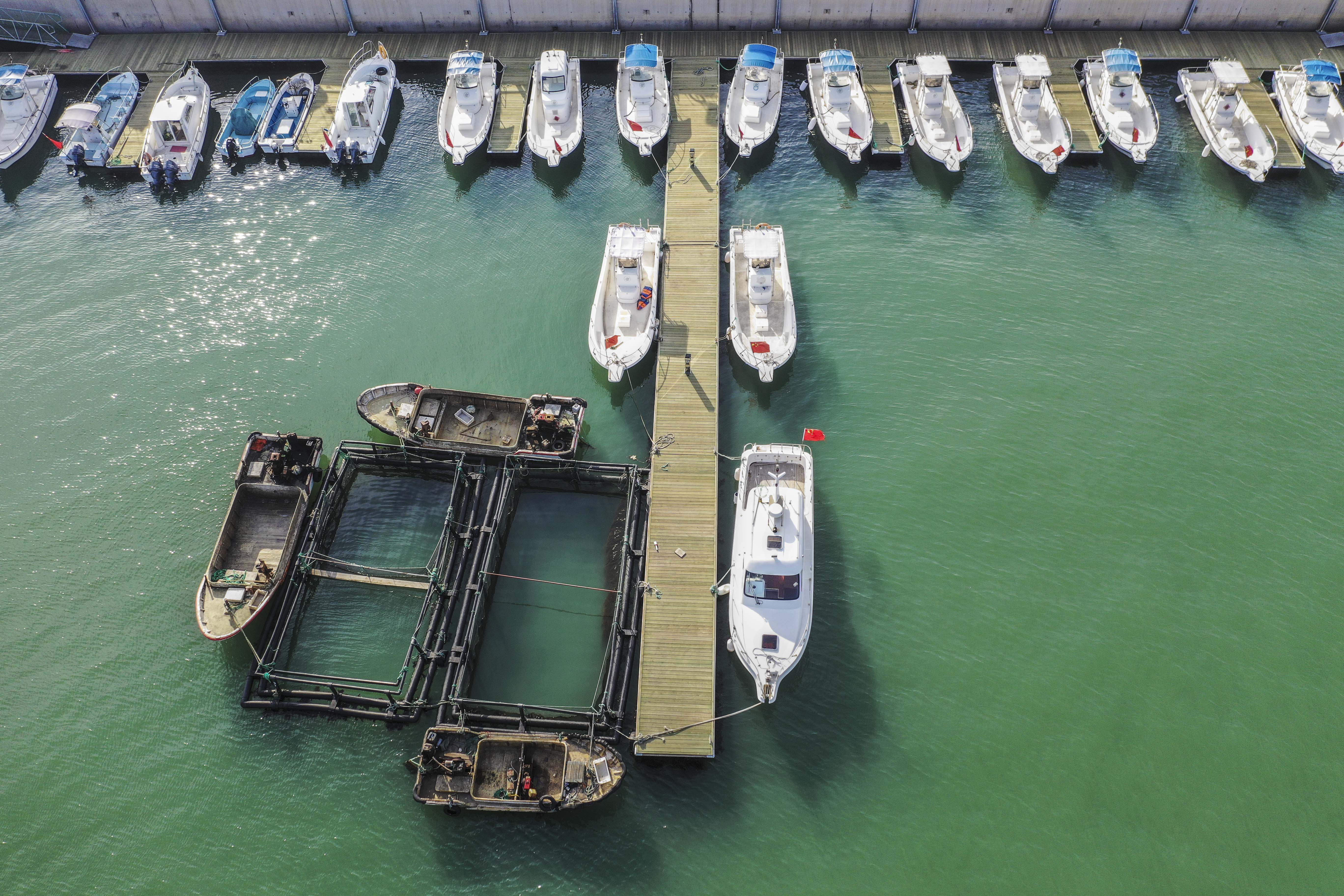 开发区鲁海丰海洋牧场是几星,青岛鲁海丰海洋牧场