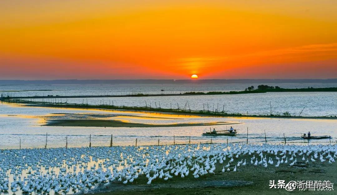 扬州夏日度假好去处,扬州最值得去的渔村