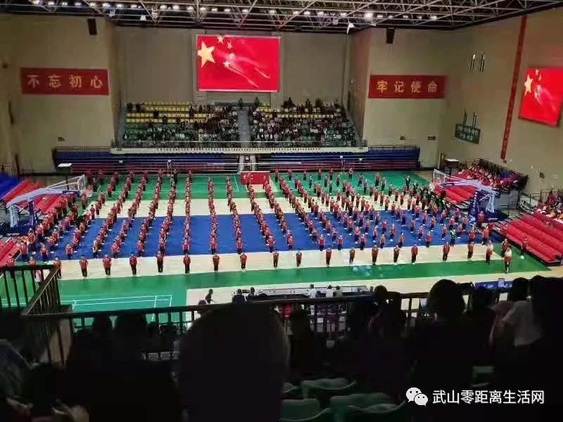 武山龙台油菜花节,湖口县武山油菜花节