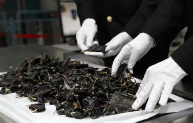 从日本回来什么东西会被海关扣,日本回国禁止携带物品最新