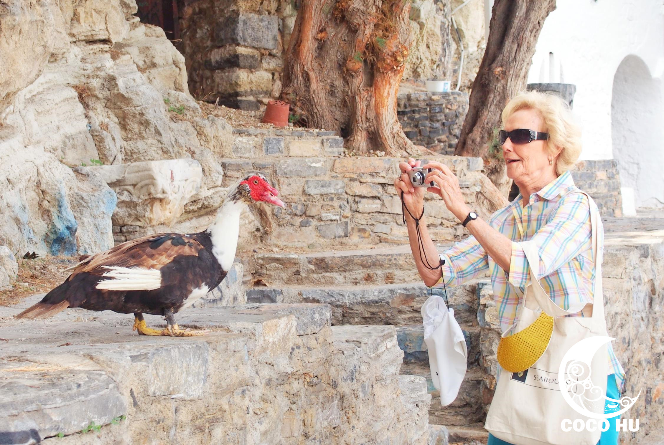 克里特文明与古埃及文明的联系,希腊克里特岛文明