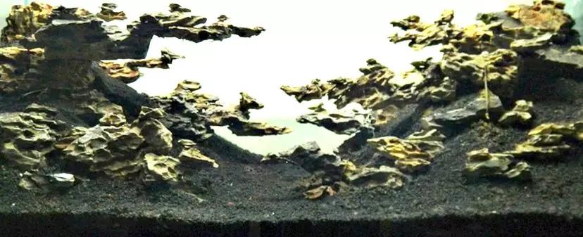 草缸造景教程：胶水造景太温柔，男人就该上电钻