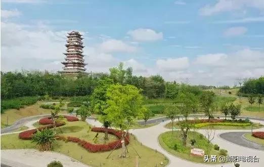 遇见天府雄州|陈新:一道美食映照的修为