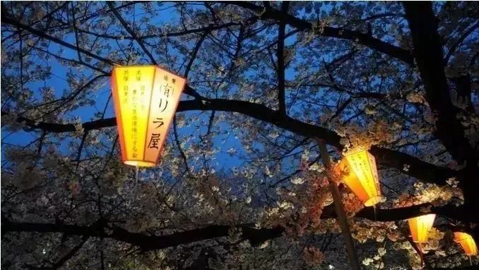 东京23区，你对哪个区最有好感呢？