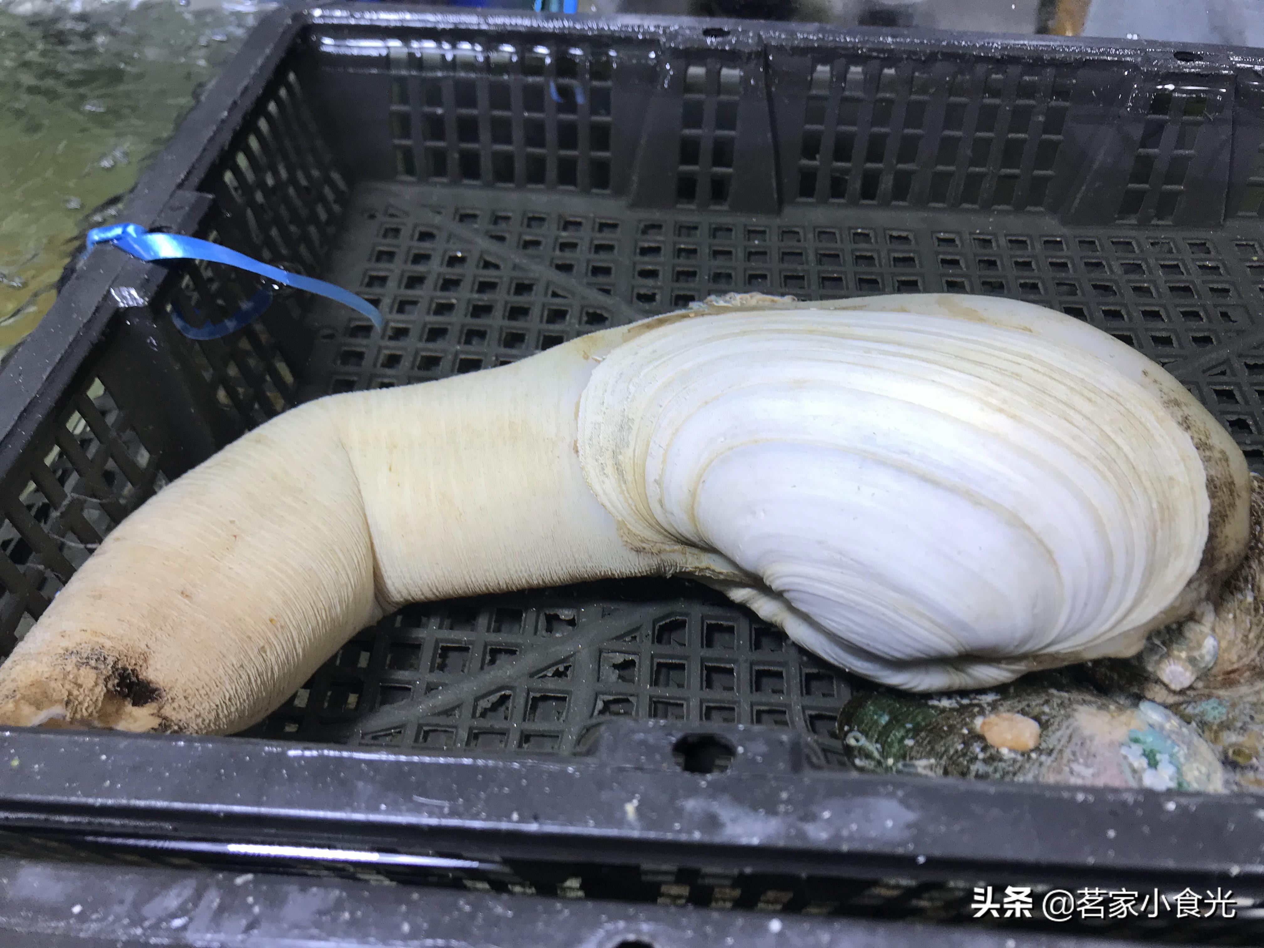 探店石家庄高端自助,吃喝玩转石家庄探店价格