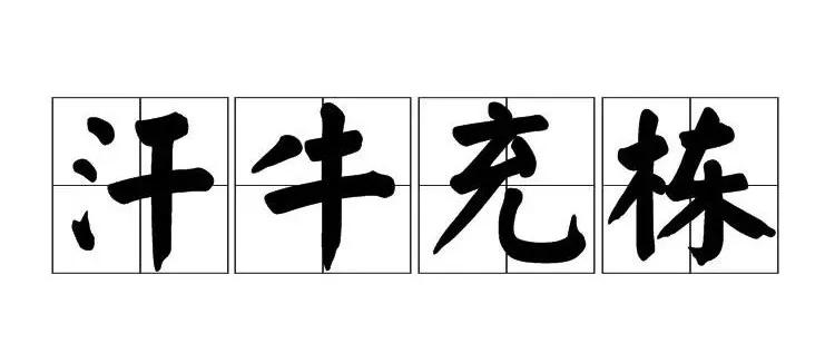 汗牛充栋形容学识渊博,汗牛充栋可以形容图书馆书多吗