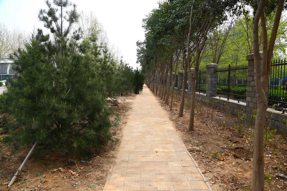 新学期有哪些新变化,许昌职业技术学院新学期工作