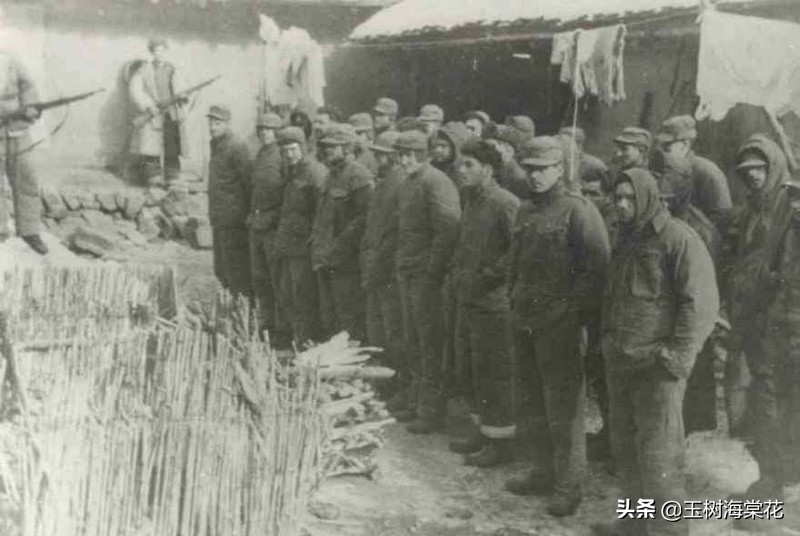 美军战俘不愿意回国,美国战俘老温