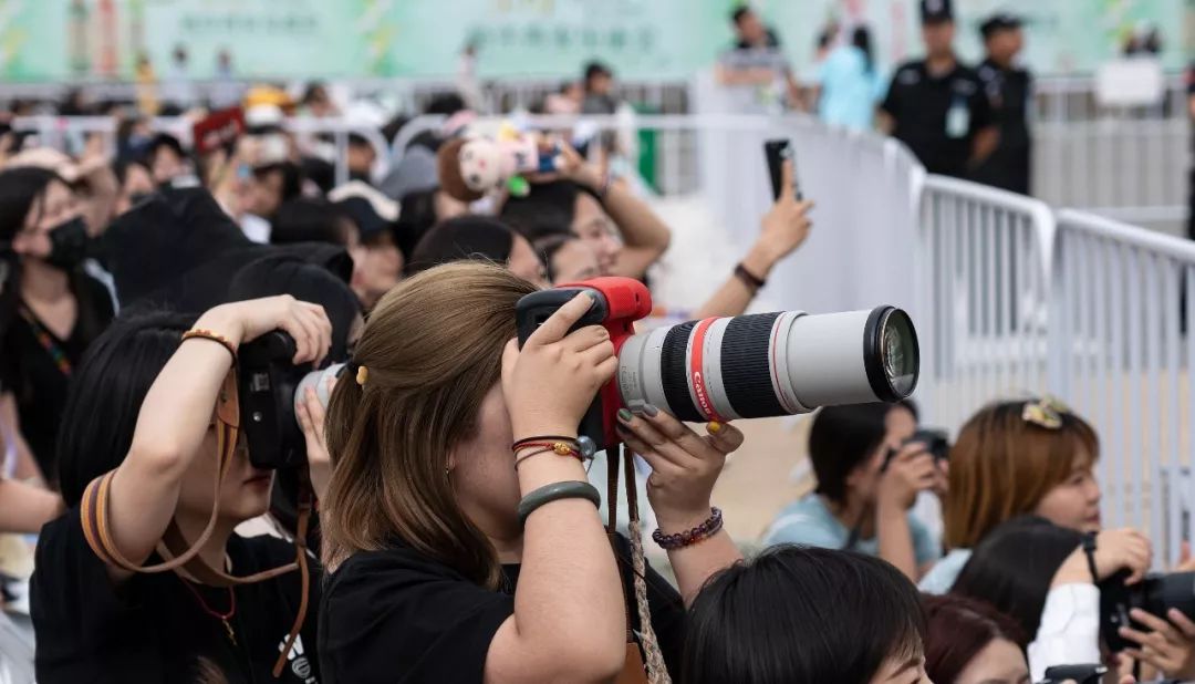 追星坚持不下去,追星不成反被骗