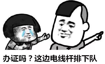 带旅游团去境外的导游证,出境旅游领队证