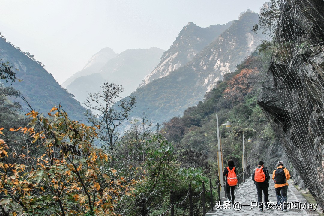 为什么爬华山都是夜爬,华山自古一条道很有必要爬吗