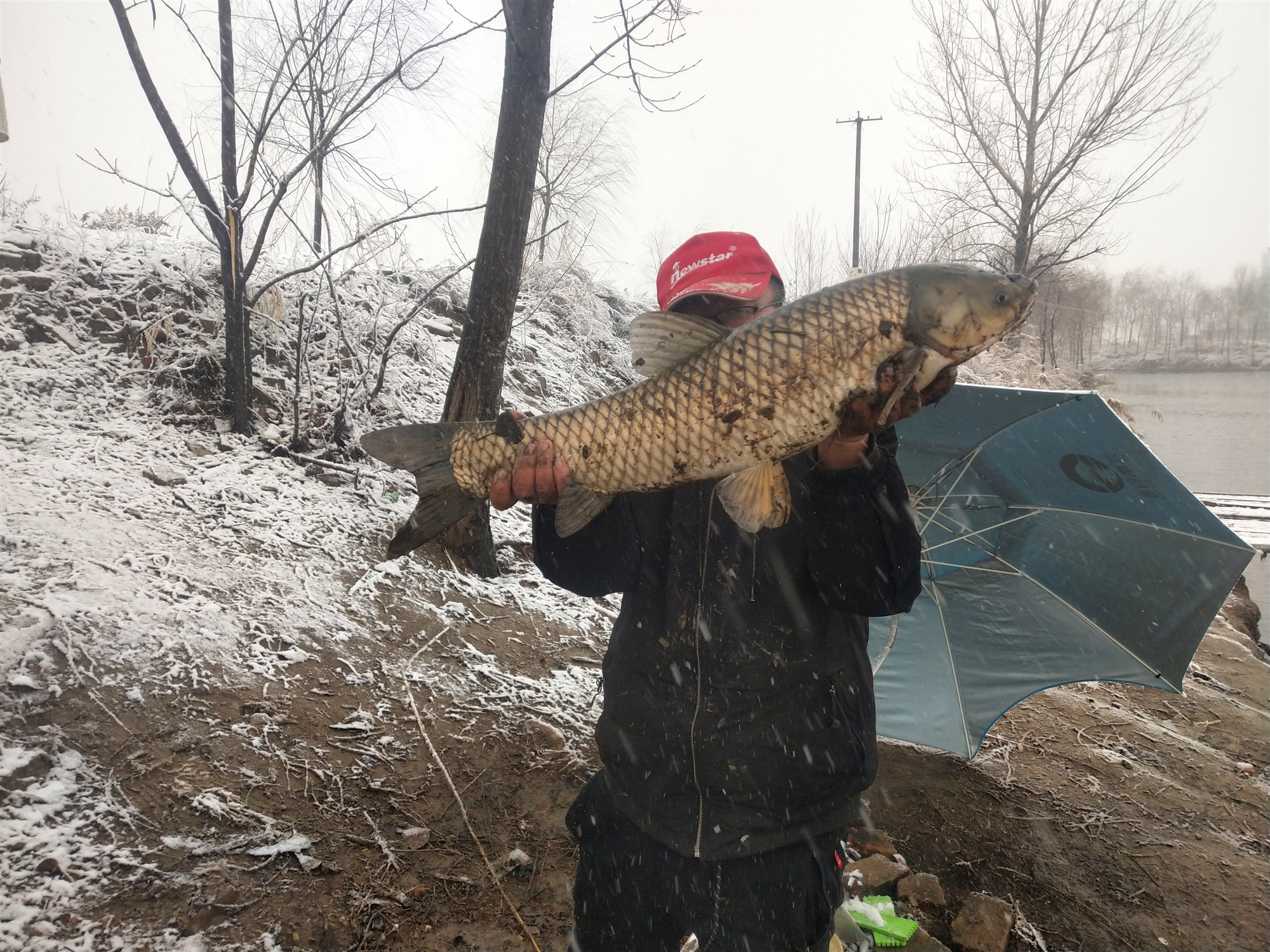 什么鱼钩钩型最好,野钓适合用哪种鱼钩钩型