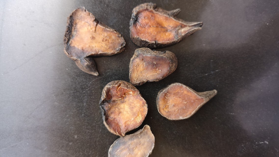 为什么火神派附子用量大,火神派药材