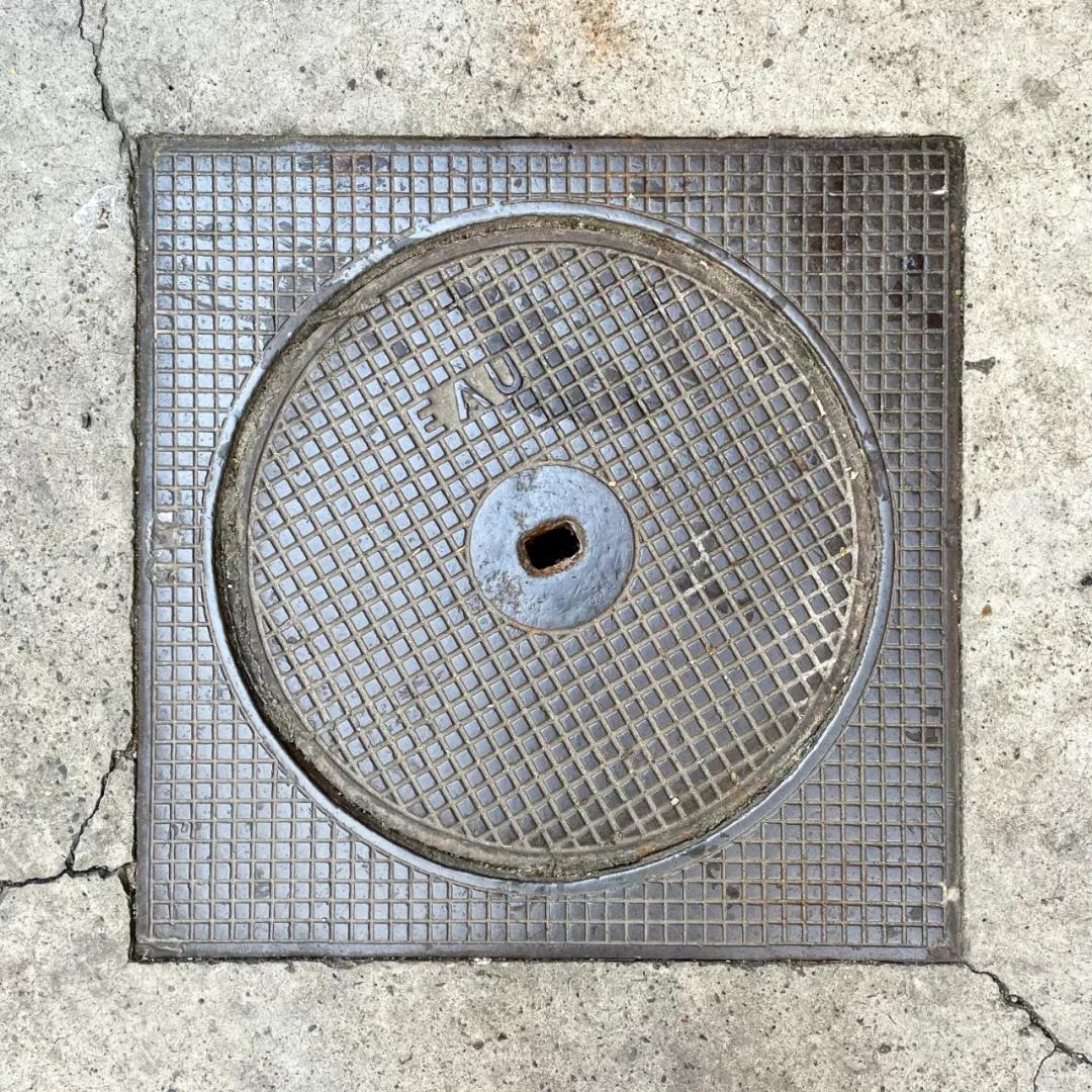 不要错过上海的春天,不要错过上海的夏天