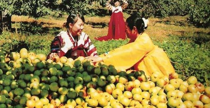 你知道什么是椴木木耳吗,你知道什么是白茶