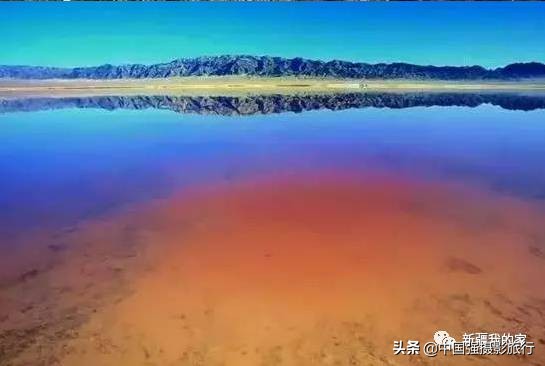 又一封辞职信火了，*疆新**人已传疯