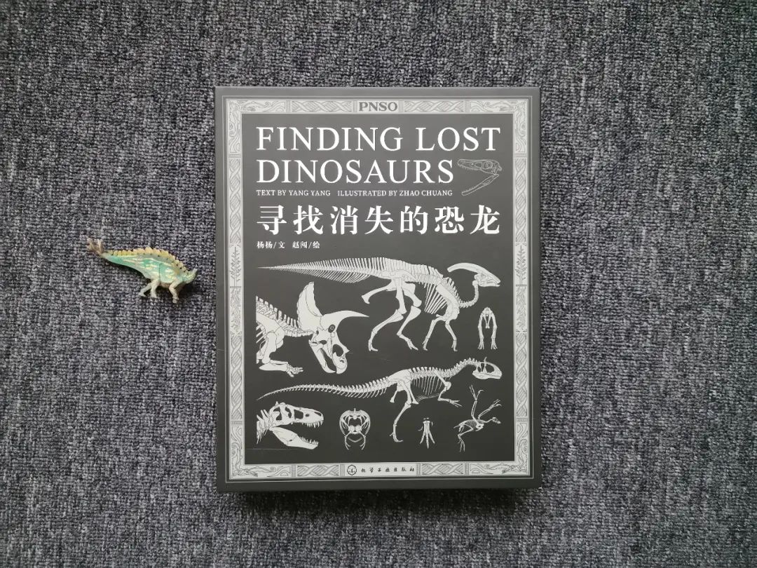 适合孩子看的恐龙科普书,适合5岁孩子看的恐龙科普书