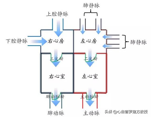 发生心律不齐，怎么样才能恢复正常？#原创首发##青云计划#