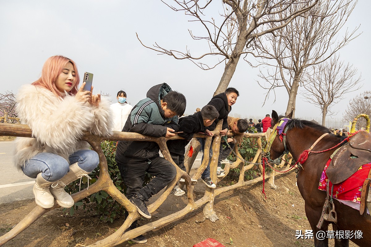 农村大叔擅长养马，靠头脑灵活补贴家用，挣钱方式多样