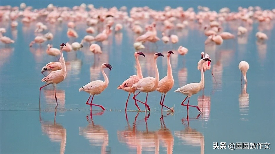 二年级作文大西瓜,二年级作文的方法与技巧