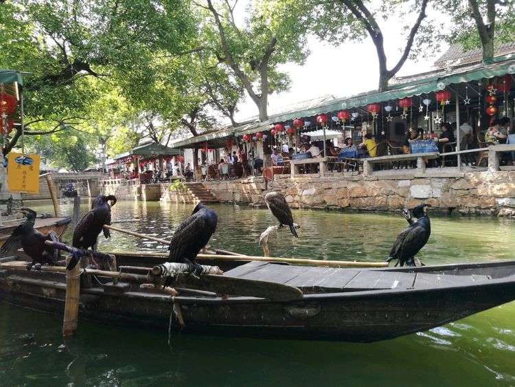 同里古镇排行第一名,同里十大名镇排名