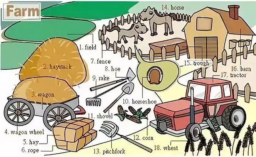 英语小课堂日常物品的英文表达,日常用品的英语表达图文并茂