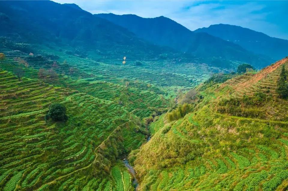 水口村绝美古村落,徽州水口村