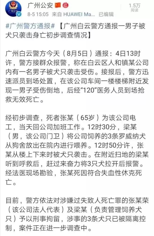 8岁男孩被三条恶犬活活咬死,一名男子被三只恶犬咬死