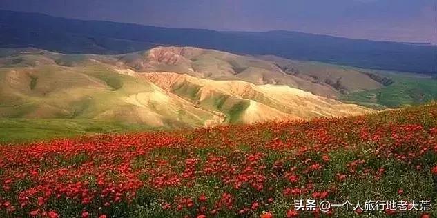 治愈系风景一辈子总要去一次新疆,去新疆的路上看不一样的风景