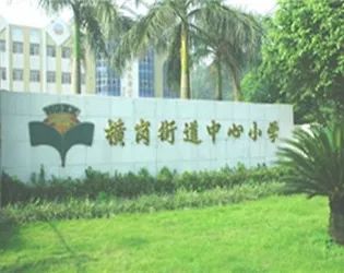 深圳龙岗民办小学排名,东莞凤岗学校排名小学