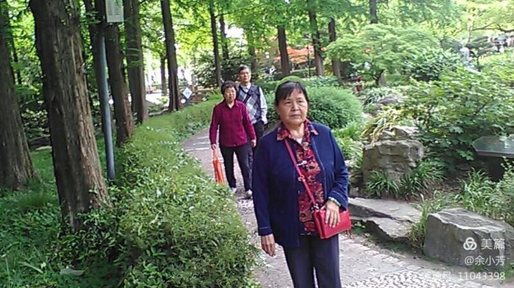 上海中山公园公寓,上海中山公园游玩攻略