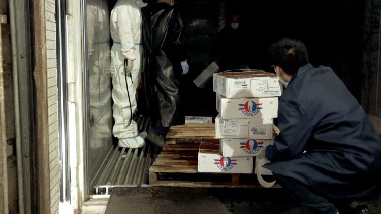 腾讯为冻品定制“健康码”“行程卡”深圳首个区块链冷冻食品追溯平台落地盐田