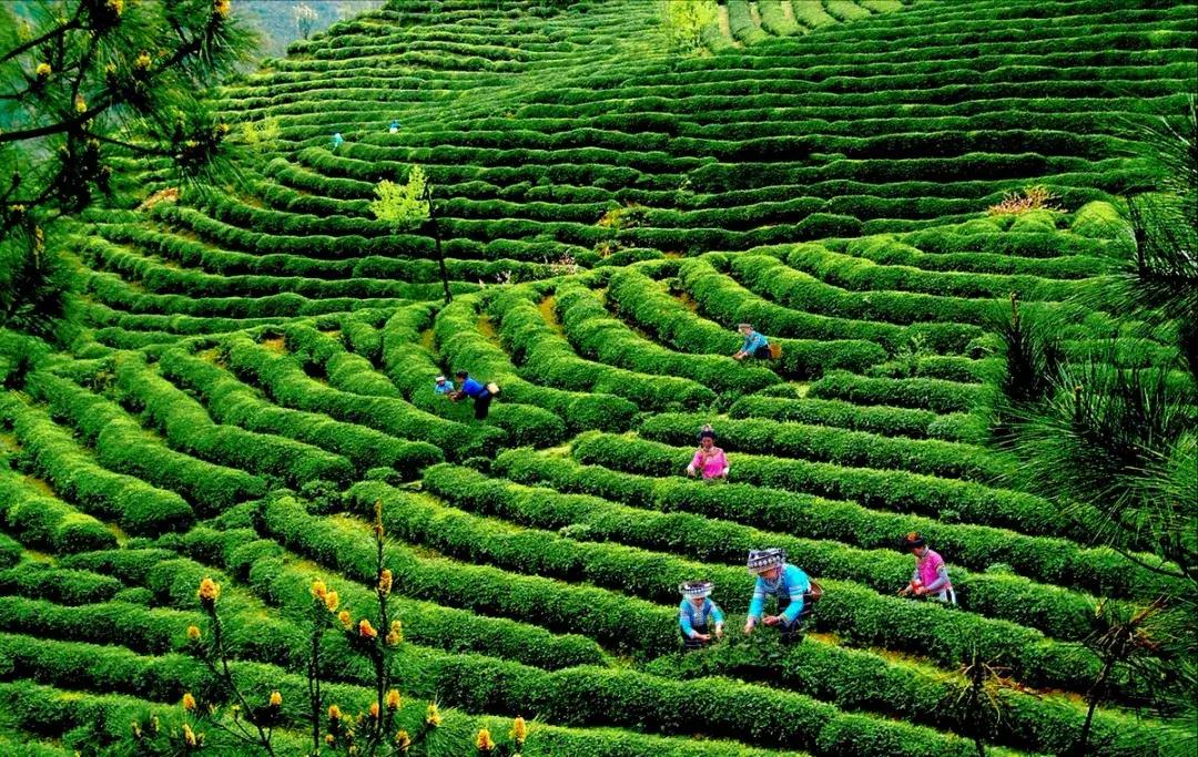 全国最宝藏的省,中国宝藏最多的省份