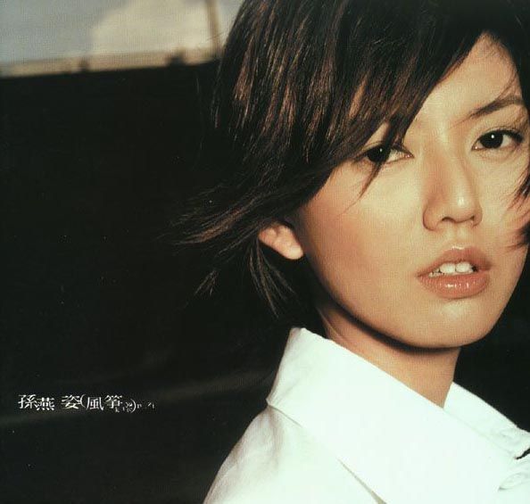 孙燕姿有名吗,孙燕姿算不算漂亮