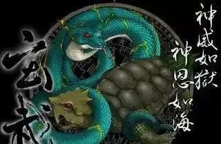 中华上古神兽大全,上古神兽电视剧全集免费观看