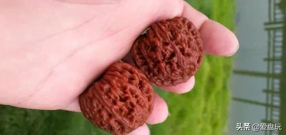 纯手盘玩一年的核桃,文玩手盘和机刷哪个值钱