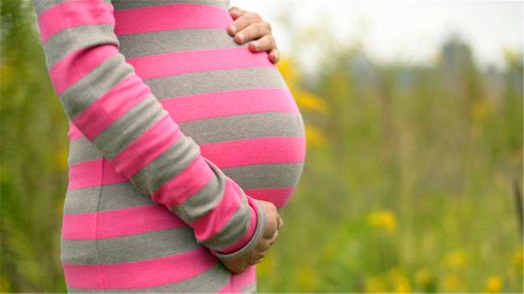 备孕吃什么才能补充雌激素,备孕补充雌激素最好的方法