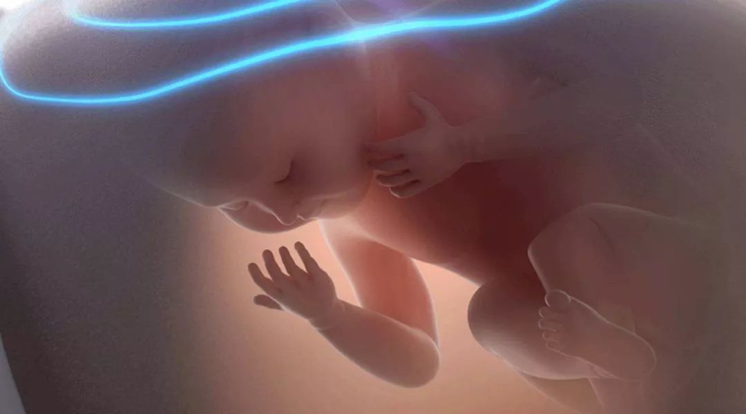 宝宝健康科普大赛,健康教育科普大赛视频新生儿